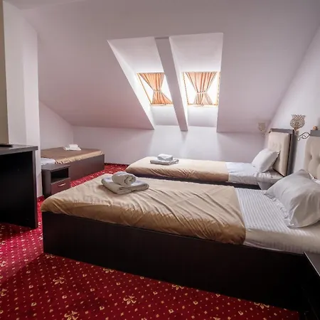 Hotel Pensiunea Nnn 3*