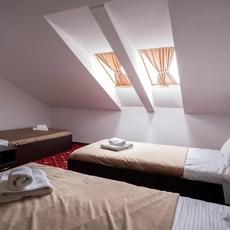 Hotel Pensiunea Nnn 3*