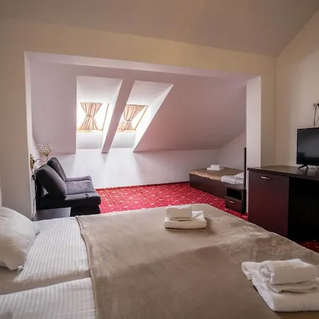 Pensiunea Nnn 3* Timisoara