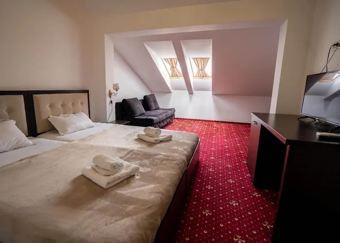 Pensiunea Nnn Timişoara