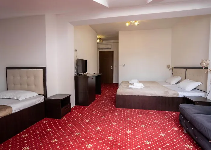 Pensiunea Nnn 3* Timişoara