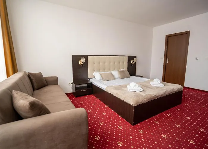 Pensiunea Nnn Hotel Timişoara