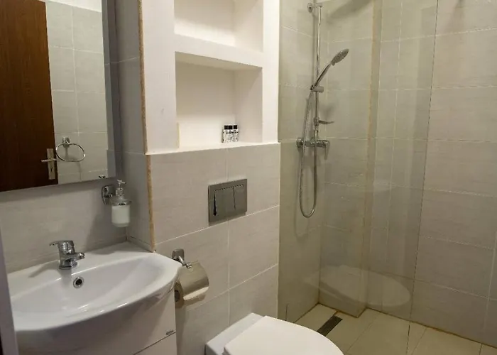 Pensiunea Nnn 3* Timişoara