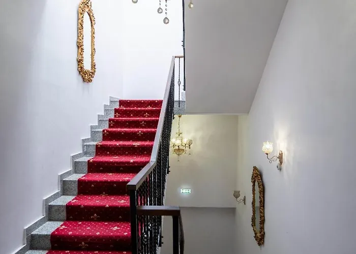 Pensiunea Nnn 3* Timişoara