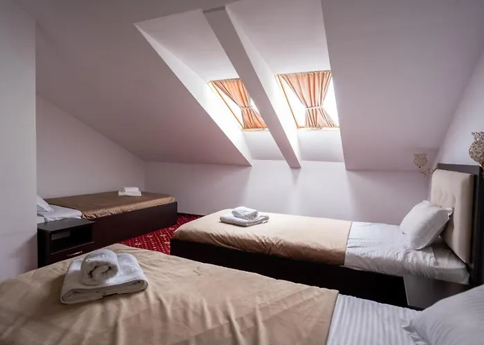 Hotel Pensiunea Nnn 3*