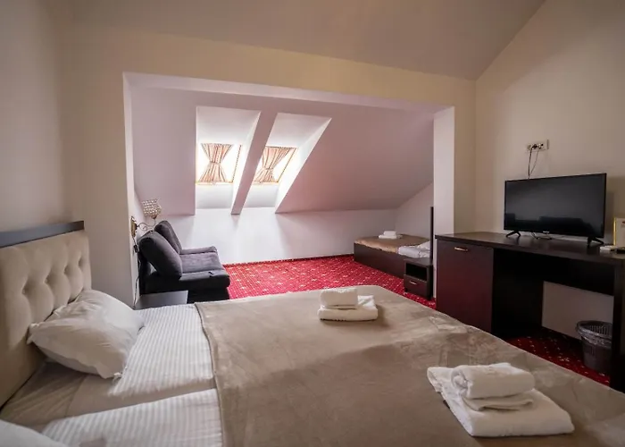 Pensiunea Nnn 3* Timişoara